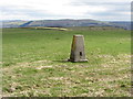 Trig point in a field above Ynyshir in CF39 9UE