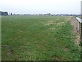 Grazing beside drain in PE12 0PR