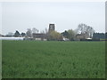 Crop field towards the Old Mill, Gedney Hill in Gedney Hill