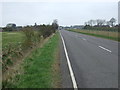 Drove Road (B1166) in Whaplode Drove