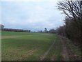 Fields and Footpath near Common Farm in DE15 0AF