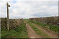 Farm track, Park Gate in HR6 0JX