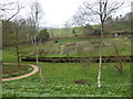 Painswick Rococo Garden in GL6 6QP