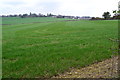 View across fields to Sparsholt in SO21 2NX