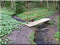 Footbridge over a stream in Manning's Wood in TN16 1ND