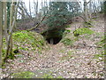 Bat cave at Hosey Hill in TN16 1TB