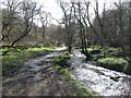 The Dales Way and Meanwood Beck at Weetwood in LS16 5QQ
