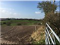 Audley: harrowed field off Wereton Road in ST7 8AG