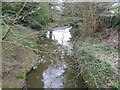 The River Ching below Highams Park lake in IG8 9RF