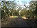 Halmer End: path along former railway trackbed in ST7 8AG