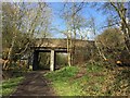 Halmer End: footbridge over former railway trackbed in ST7 8AG
