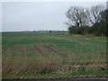 Farmland near Cedar Lodge in PE6 0JX