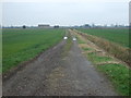 Farm track and drain off Hull's Drove in PE6 0JX
