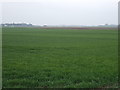 Farmland, Great Postland in PE6 0LT