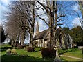 St Andrew's church Bramfield in SG14 2QT