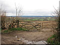Field gates, Coopers Lane in TN3 0RL