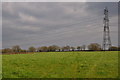 East Devon : Grassy Field in EX15 2NH