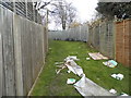 Litter strewn path, Upper Norwood in SE19 3DB