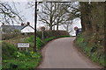 East Devon : Country Lane in EX5 2SD