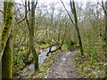 Rotary way path crosses a brook at Giants Seat Wood in M27 6NG