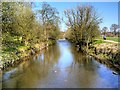River Darwen, Witton Country Park (upstream) in BB2 5NF