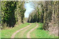 Byway north of Great Yews in SP5 4NB