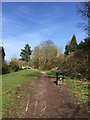 Bignall End: path along former railway trackbed in ST7 8LA