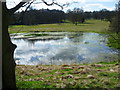 A flooded Nail Bourne in Charlton Park seen from the Elham Valley Way in CT4 5HU
