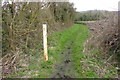 Grass track south west of Kingsclere in RG20 5NH