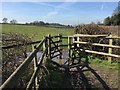 Audley: kissing gate on footpath Audley 31 in ST7 8LA