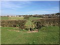 Kissing gate in field hedge near Audley in ST7 8LA