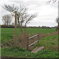 Footpath sign and footbridge near Little Renters Farm, Little Totham in CM9 8LZ