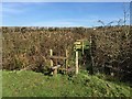 Stiles and footbridge on footpath Audley 31 in ST7 8LA