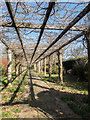 Wisteria Archway, Walled Garden, Trent Park, Cockfosters, Hertfordshire in EN4 0BY