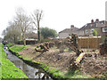 Cut trees on the bank of the River Shuttle in DA15 8WW