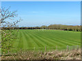 Recently mown playing fields in GL52 8AS