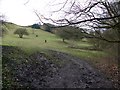 Footpath between Mill Brow and Mellor in SK6 5DD