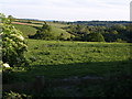 View from Burridge in EX13 7DF