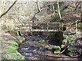 Footbridge over Cotton Brook in Star Wood in ST10 3DW