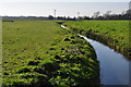 Sedgemoor : Grassy Field & Drain in TA9 4BD