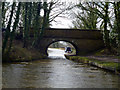 Macclesfield Canal:  Ryles Bridge No 20 in SK10 4LD