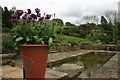 Edwardian Garden, RHS Harlow Carr in HG3 1FF