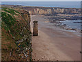 Marsden Sands and Cliffs in NE34 7JE