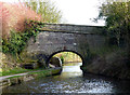 Macclesfield Canal:  Foden Bank Bridge No 43 (turnover) in SK11 0HQ