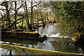 River Ecclesbourne, weir and drain in Alport & South West Parishes Ward