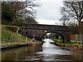 Macclesfield Canal: Foden Bridge No 67 in CW12 2BZ