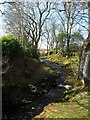 Small stream southwest of Gartmore in FK8 3RP