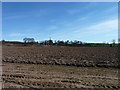 Fresh ploughing in KY15 4RX
