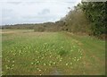 Path around Breach Farm in RG23 7DY