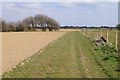 Path by West Kingston Farm in BN12 5JZ